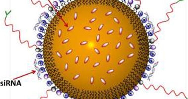 سرطان الدم يحدث نتيجة حدوث طفرة وراثية أو تحول فى خلايا نخاع العظام