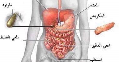 ما علاج مرض النقرس؟
