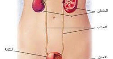 5 مؤشرات يجب عرض طفلك على طبيب مسالك بولية عند ظهورها 