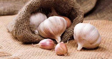 بالصبار والثوم والزبادى.. غذى شعرك وامنعى سقوطه 