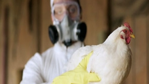 وفاة جديدة بـ