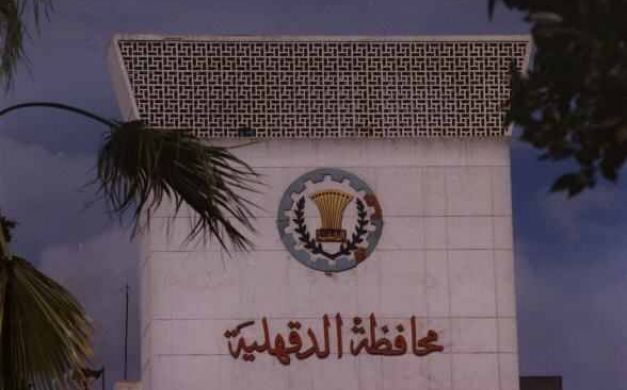 صحة الدقهلية تغلق 87 منشأة غذائية بلا تراخيص