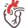 قلب و اوعية دموية