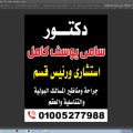 سامى يوسف 