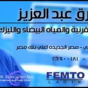 طارق عبد العزيز