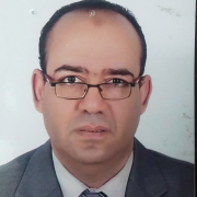محمد محروس التلاوى