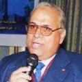 محمد عبد الرحمن الجلاد