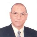 عادل  الجمل