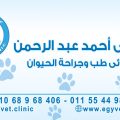 د/ على عبدالرحمن