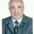 محمد محمود محمد على