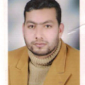 حسن حفناوي حسن