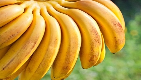  أسرار الموز الغذائية 