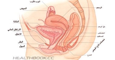 ما أسباب الإصابة بسرطان الرحم؟