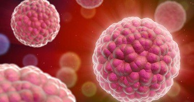 علماء بريطانيون: جينات حوت القطب الشمالى تقاوم السرطان